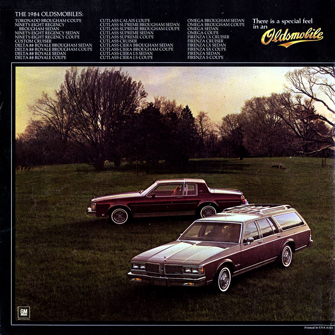 1984 Oldsmobile Full-Size Brochure Page 4